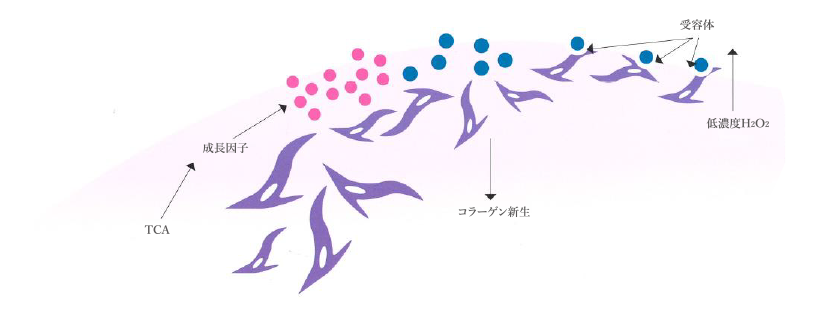 画像に alt 属性が指定されていません。ファイル名: pic_08-101.png